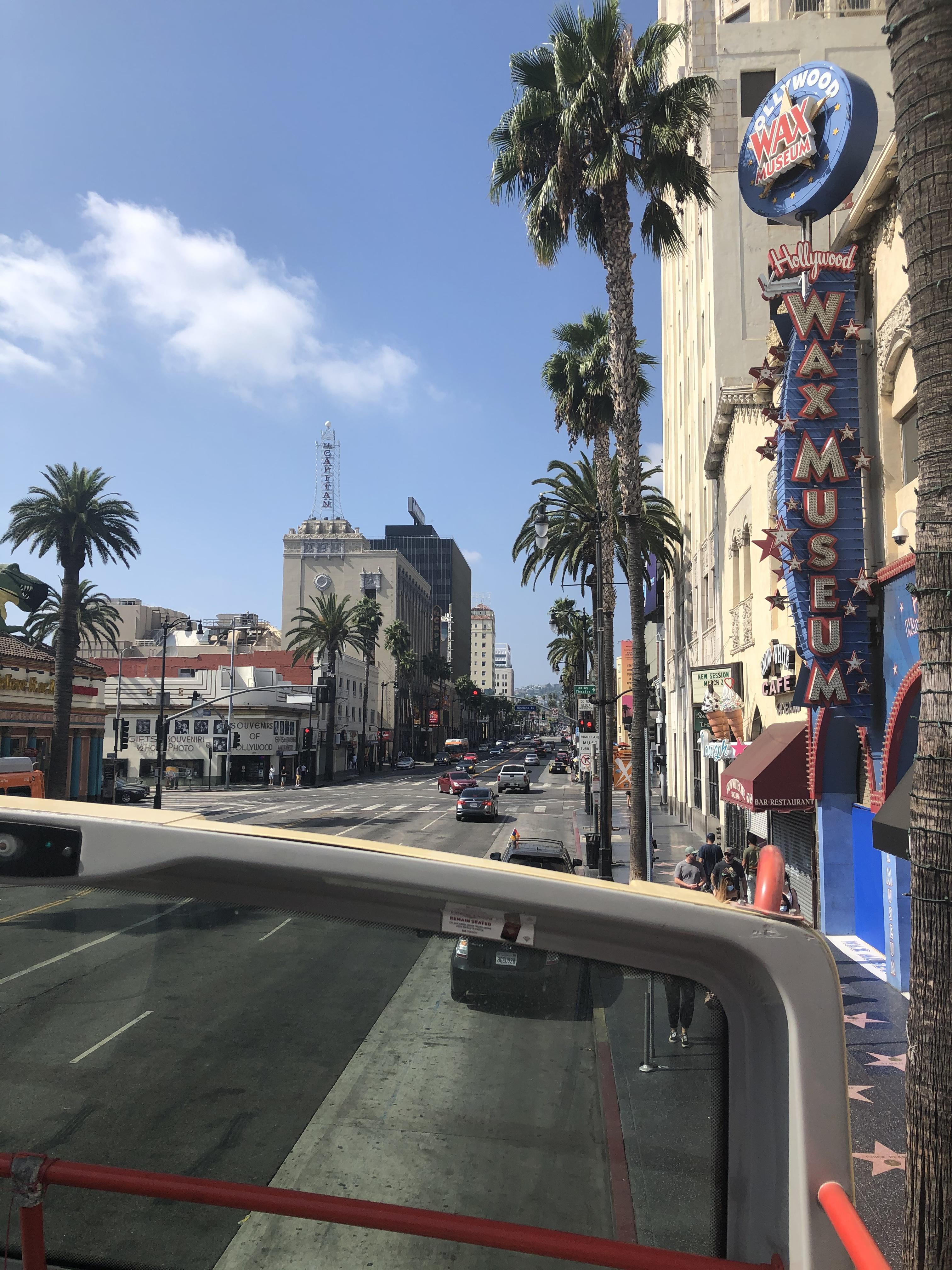 Big Bus Tours!